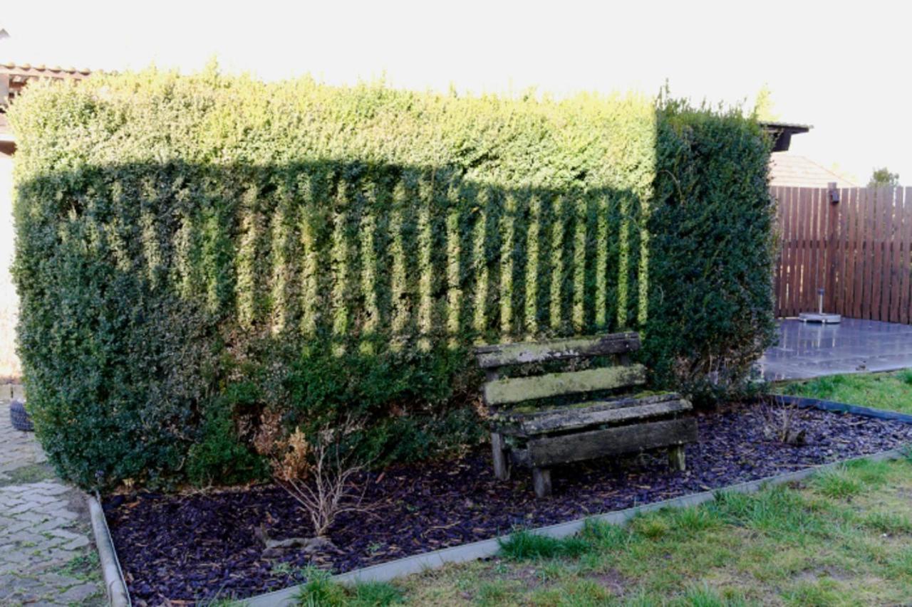 Ferienwohnung Am Steigerwaldrand Sugenheim Bagian luar foto